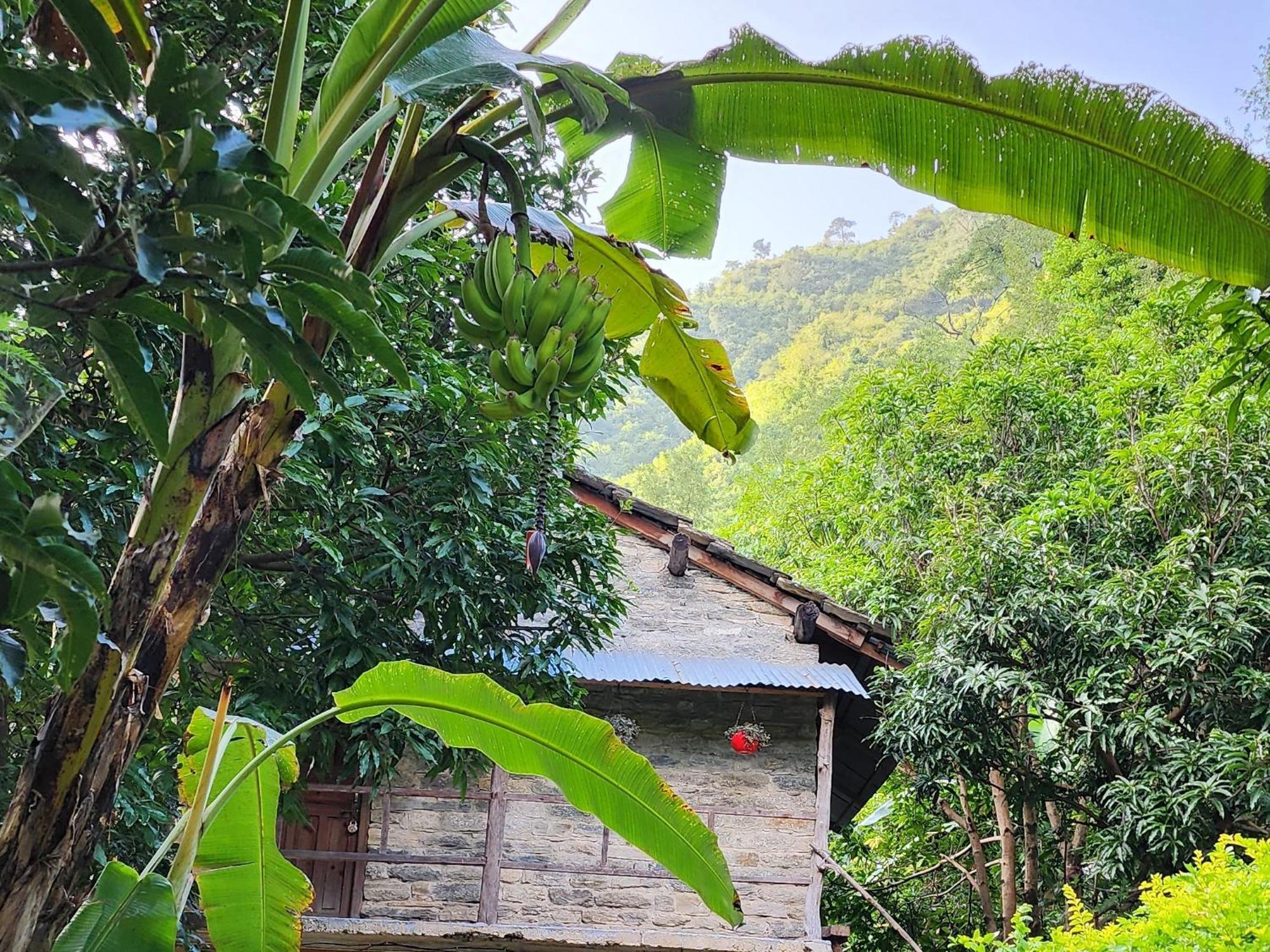 Hobo Huts By The Riverside Panuānaula المظهر الخارجي الصورة